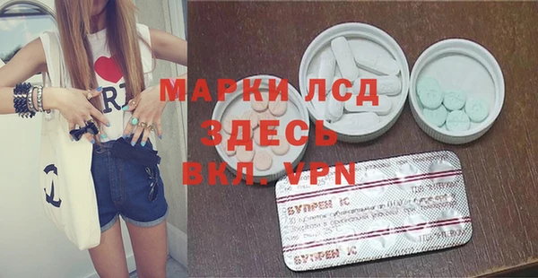 прущие грибы Алексеевка