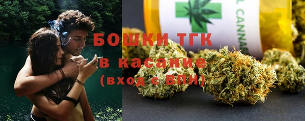 прущие грибы Алексеевка